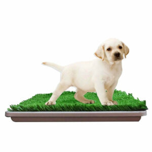 Bandeja Sanitaria Maskot