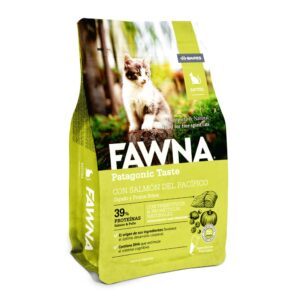 Fawna Gato Kitten