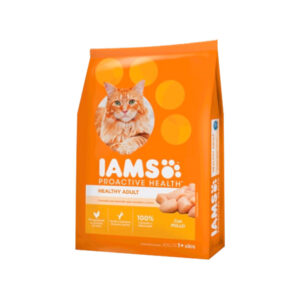 Iams Adult Chicken (Gato)