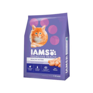 Iams Kitten Chicken (Gato)