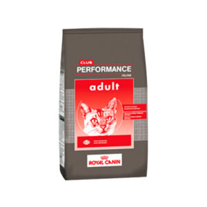 Royal Canin Club Performance Cat Adult (Gato Adulto)