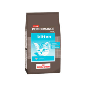 Royal Canin Club Performance Cat Kitten (Gato Cachorro)