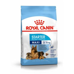 Royal Canin Maxi Starter 10K