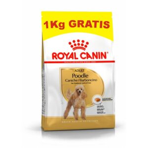 Royal Canin Mini Poodle  Adulto (caniche)