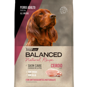 Vital Can Balanced Natural Recipe Cerdo